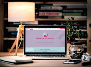 Réseau de Périnatalité de Basse-Normandie utilise WordPress
