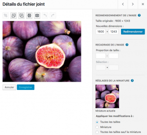 Un avantage de WordPress : la retouche d'image