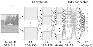 Convolutional Neural Network