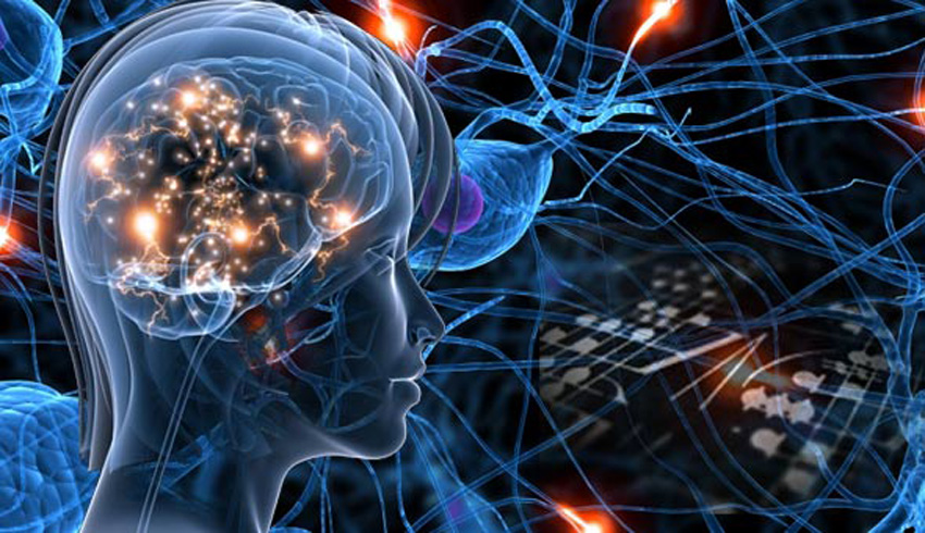 Ilustration de réseau de neurones biologique par kerja otak Ilustration de réseau de neurones biologique par kerja otak