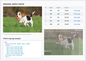 images responsives selon breakpoints