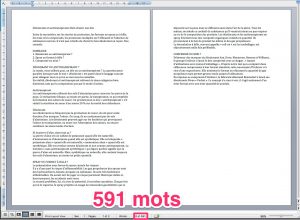 Microsoft Word : compter le nombre de mots