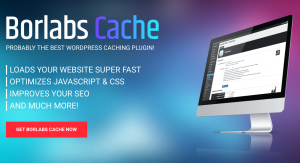 Borlabs Plugin Cache pour Wordpress