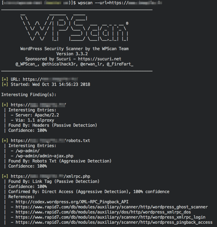 Aperçu d'une analyse WPScan