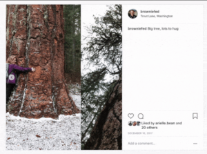 swiper images
