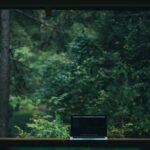 Ordinateur devant une forêt