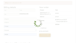 spinner-checkout Spinner par dessus un écran de paiement