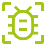 identification bug